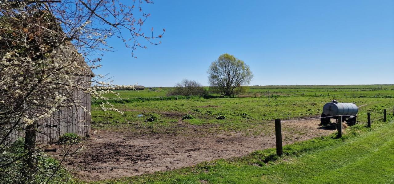 Ferienwohnung 'Kronsgaard' - Refugium Pottloch Ostsee Zewnętrze zdjęcie