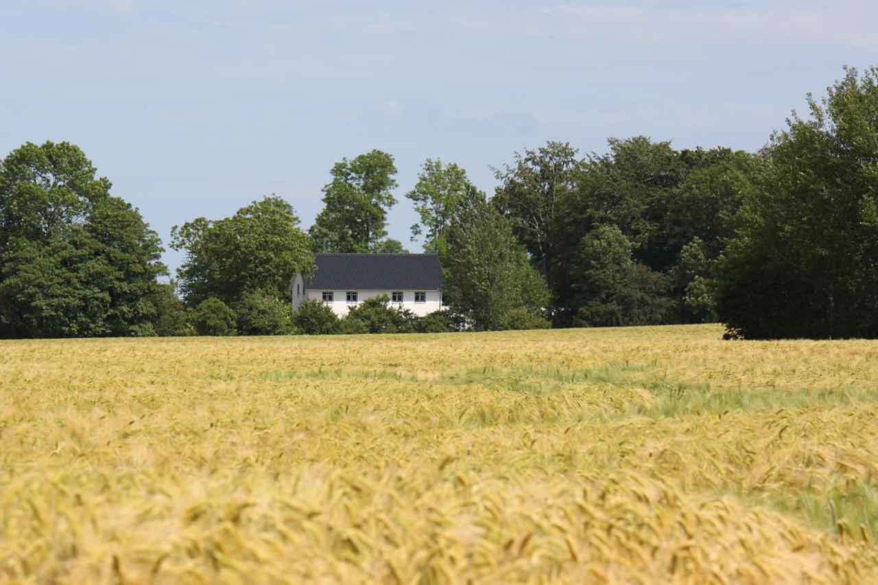 Ferienwohnung 'Kronsgaard' - Refugium Pottloch Ostsee Zewnętrze zdjęcie